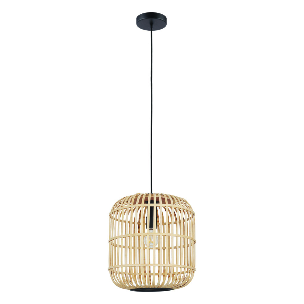 1L Pendant Light / Luminaire suspendu 1L