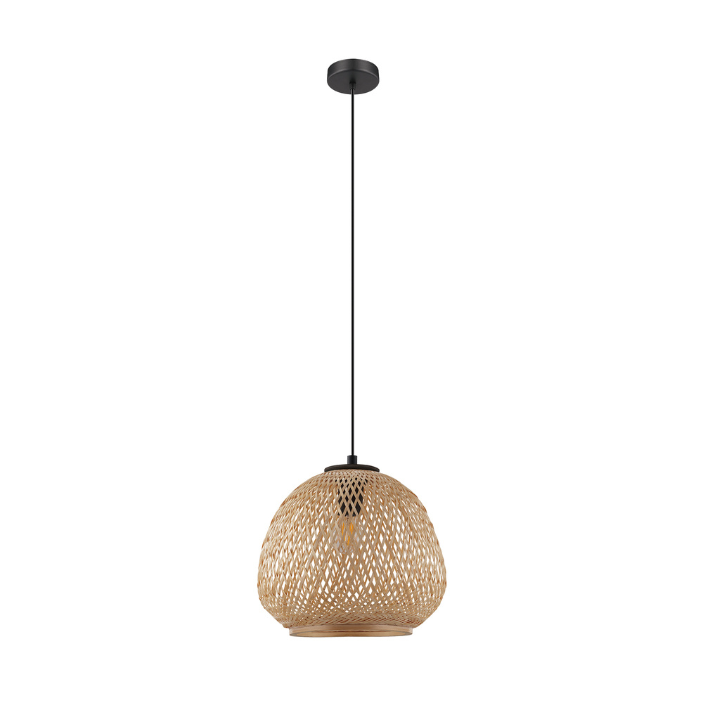 1L Pendant Light / Luminaire suspendu 1L