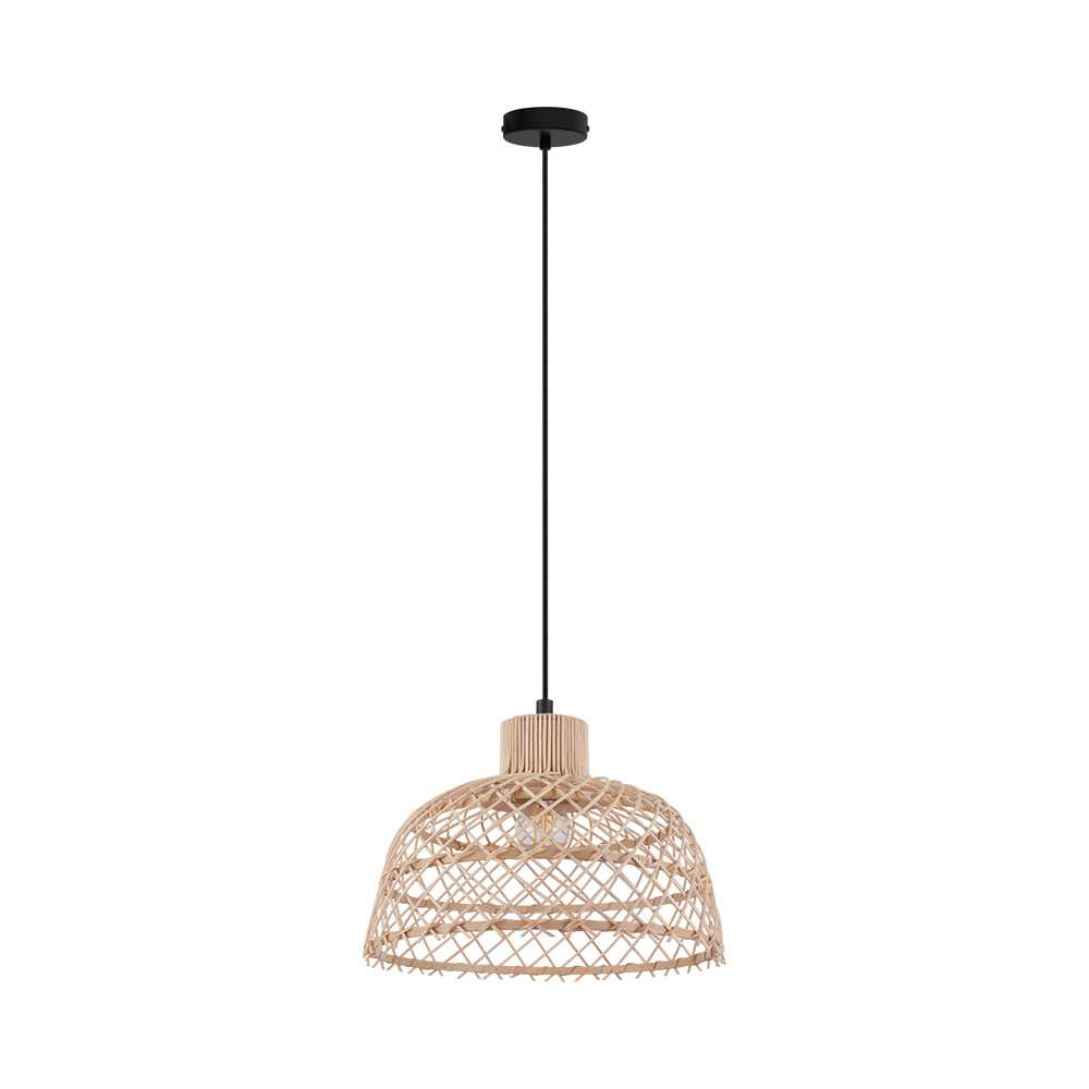 1L Pendant Light / Luminaire suspendu 1L
