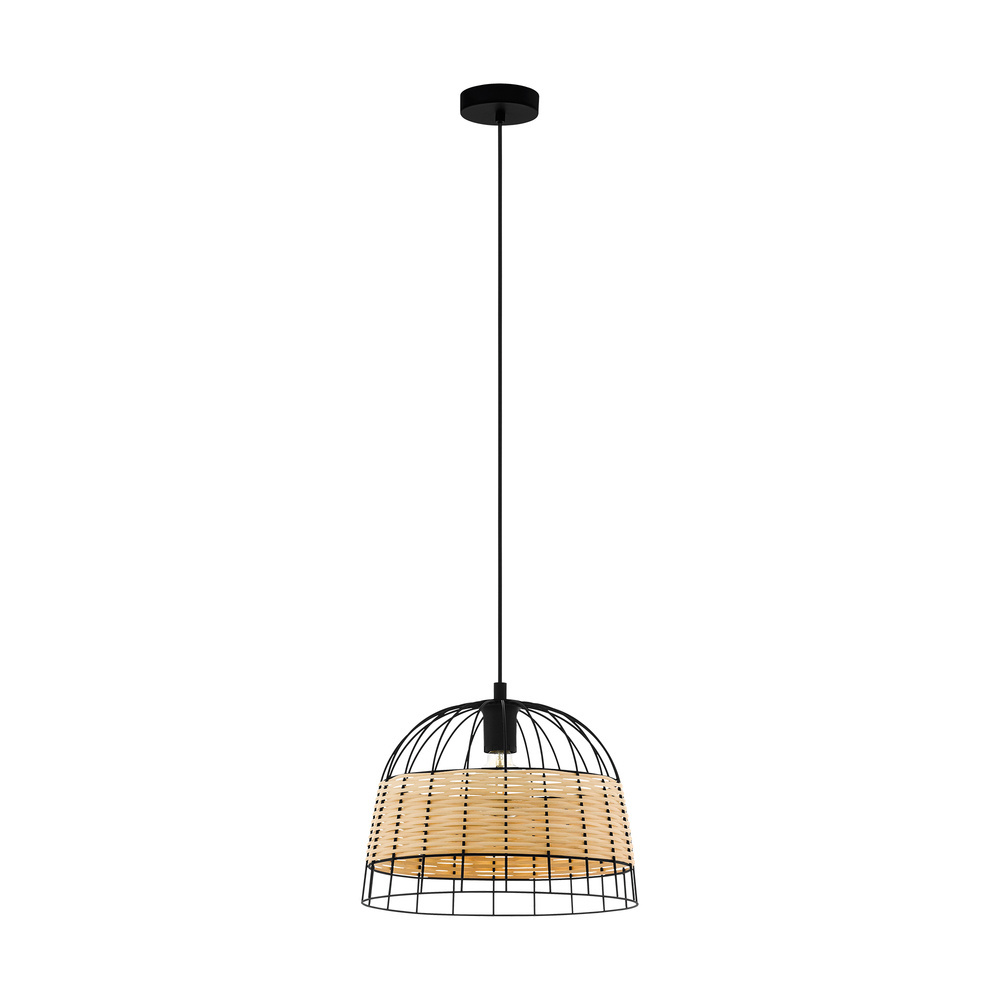 1L Pendant Light / Luminaire suspendu 1L