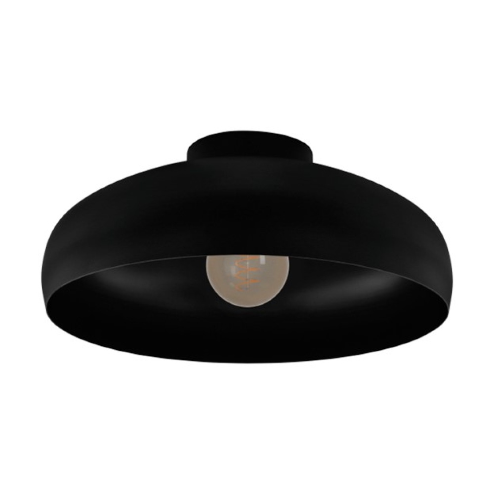 1L Ceiling Light / Plafonnier 1L