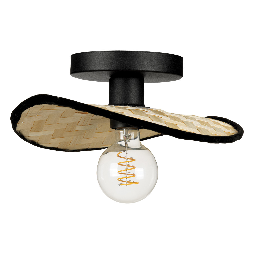 1L Ceiling Light / Plafonnier 1L