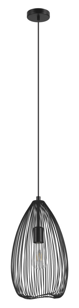 1L Pendant Light / Luminaire suspendu 1L