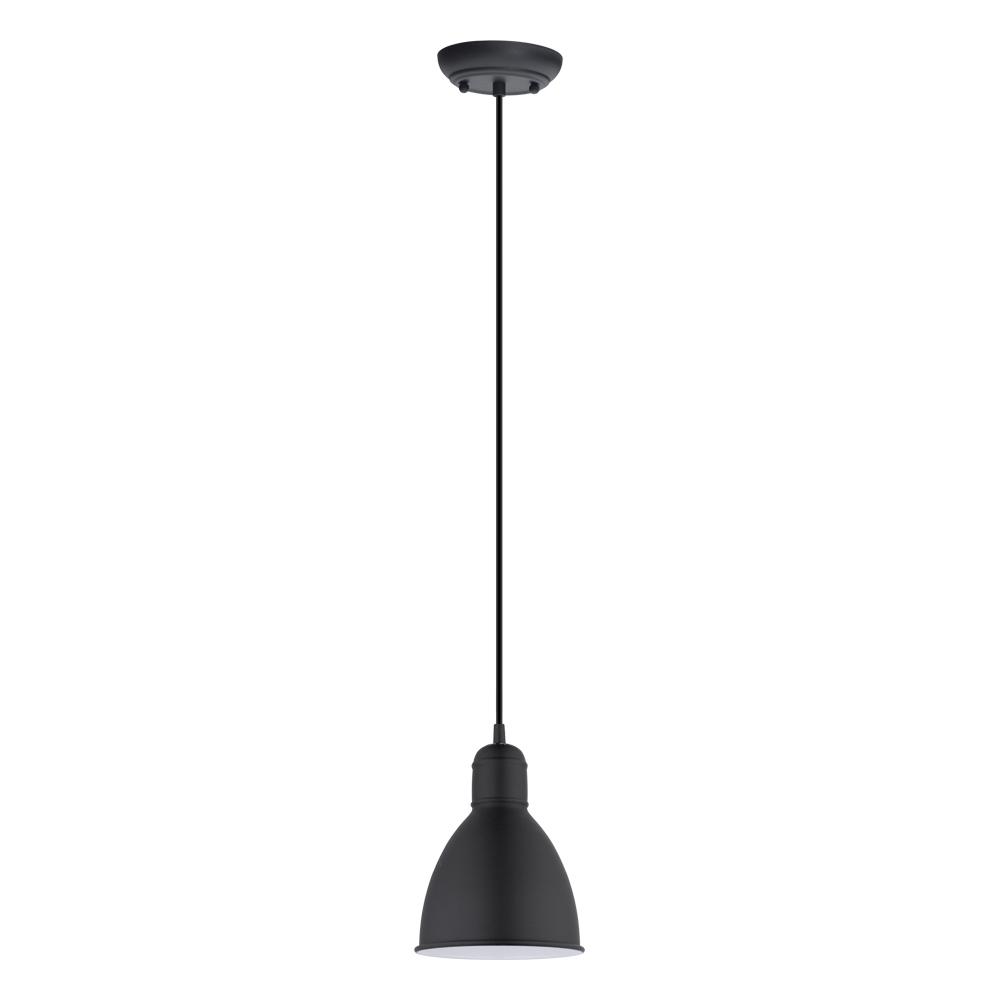 1L Pendant Light / Luminaire suspendu 1L