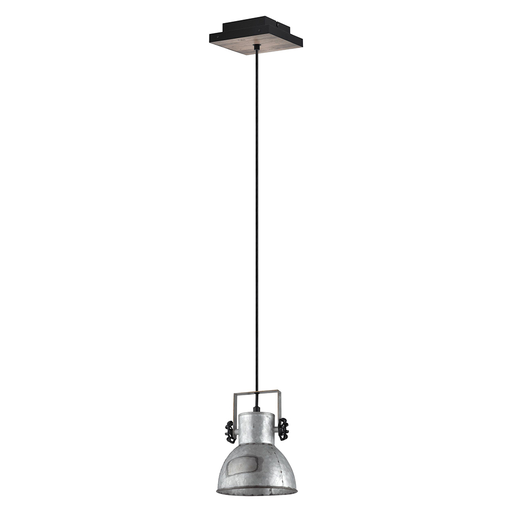 1L Pendant Light / Luminaire suspendu 1L
