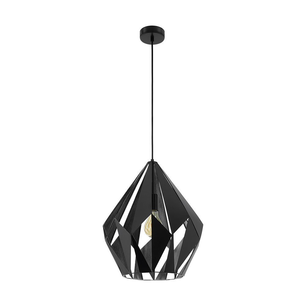 1L Pendant Light / Luminaire suspendu 1L