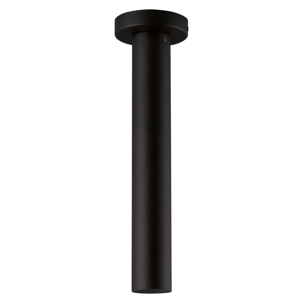 1L Ceiling Light / Plafonnier 1L