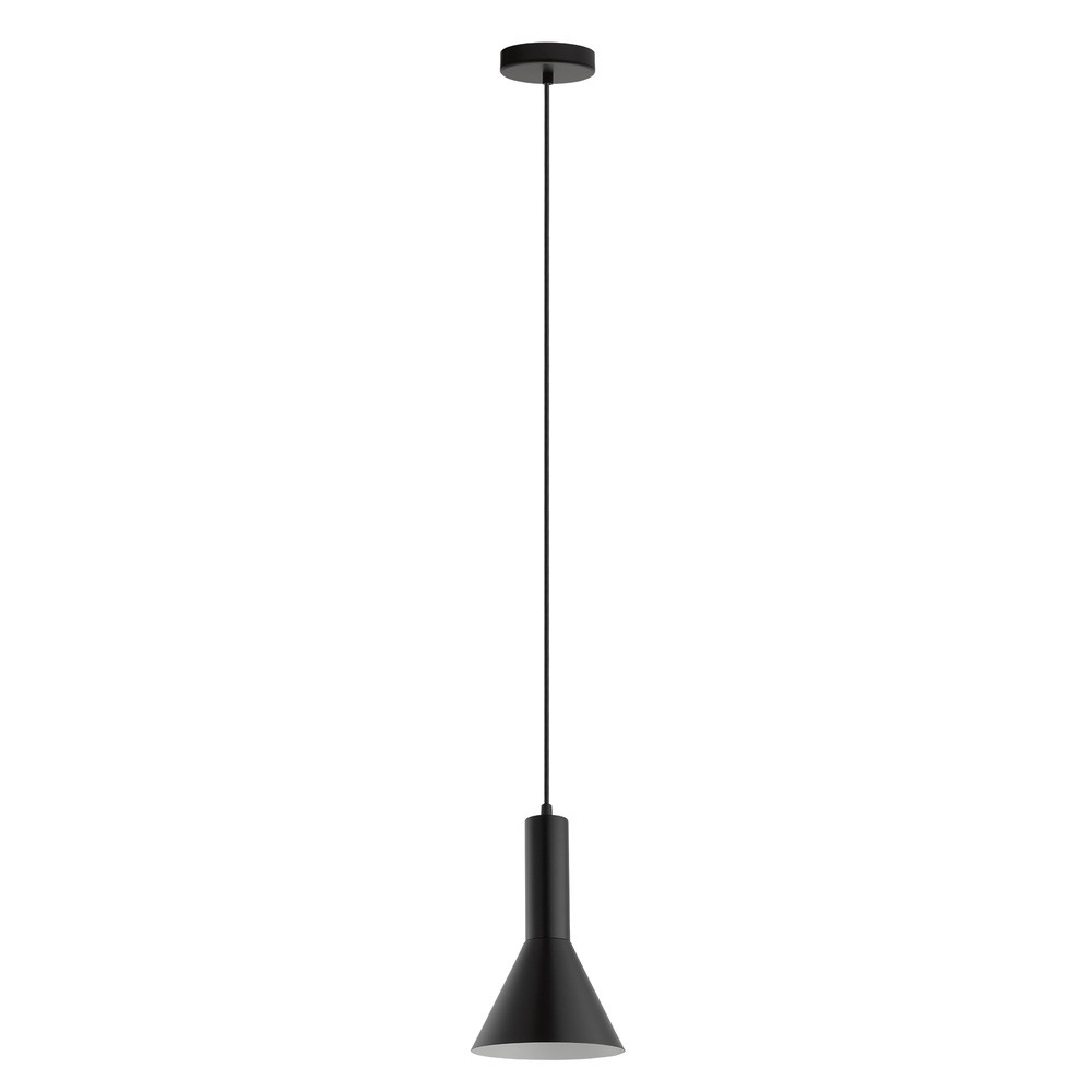 1L Pendant Light / Luminaire suspendu 1L