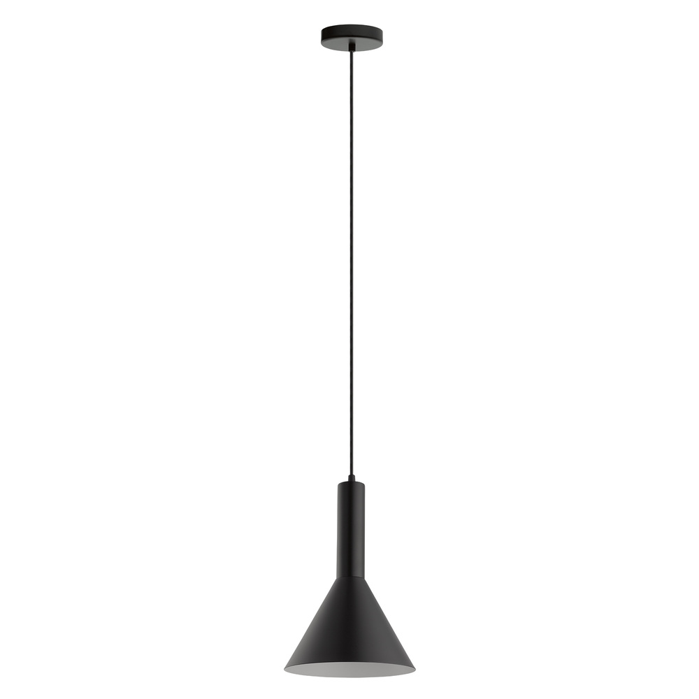 1L Pendant Light / Luminaire suspendu 1L