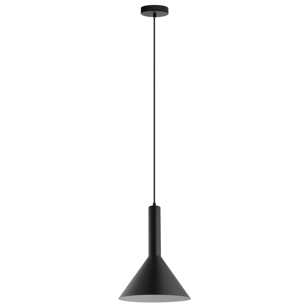 1L Pendant Light / Luminaire suspendu 1L