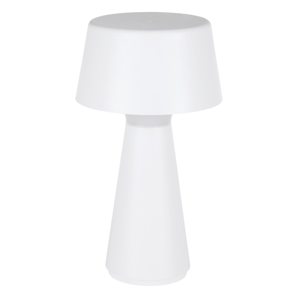 1L LED Table Lamp / Lampe de table DEL 1L