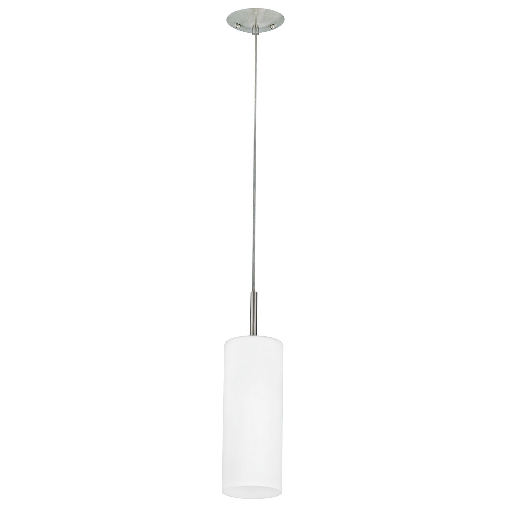 1L Pendant Light / Luminaire suspendu 1L