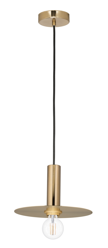 1L Pendant Light / Luminaire suspendu 1L