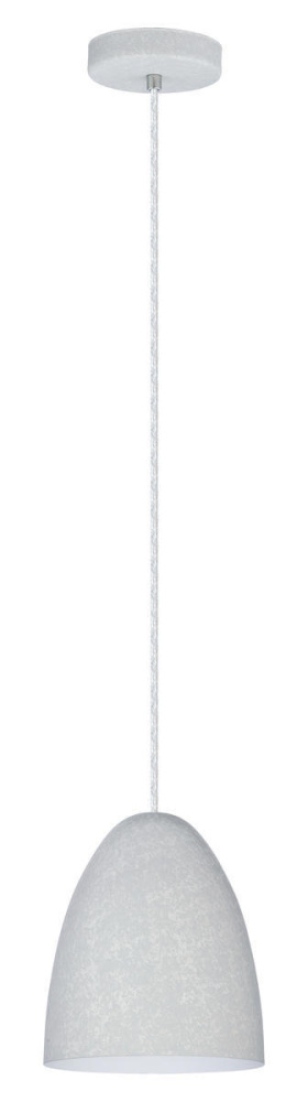 1L Pendant Light / Luminaire suspendu 1L