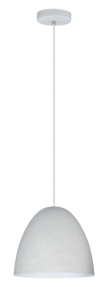 1L Pendant Light / Luminaire suspendu 1L