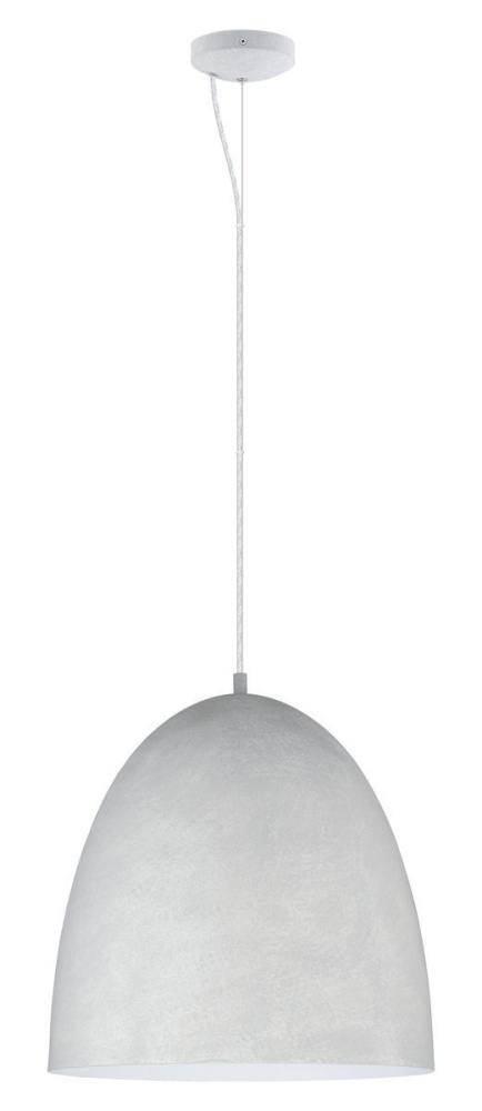 1L Pendant Light / Luminaire suspendu 1L