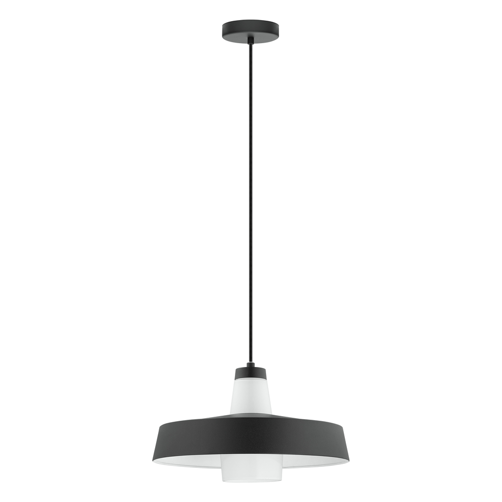 1L Pendant Light / Luminaire suspendu 1L
