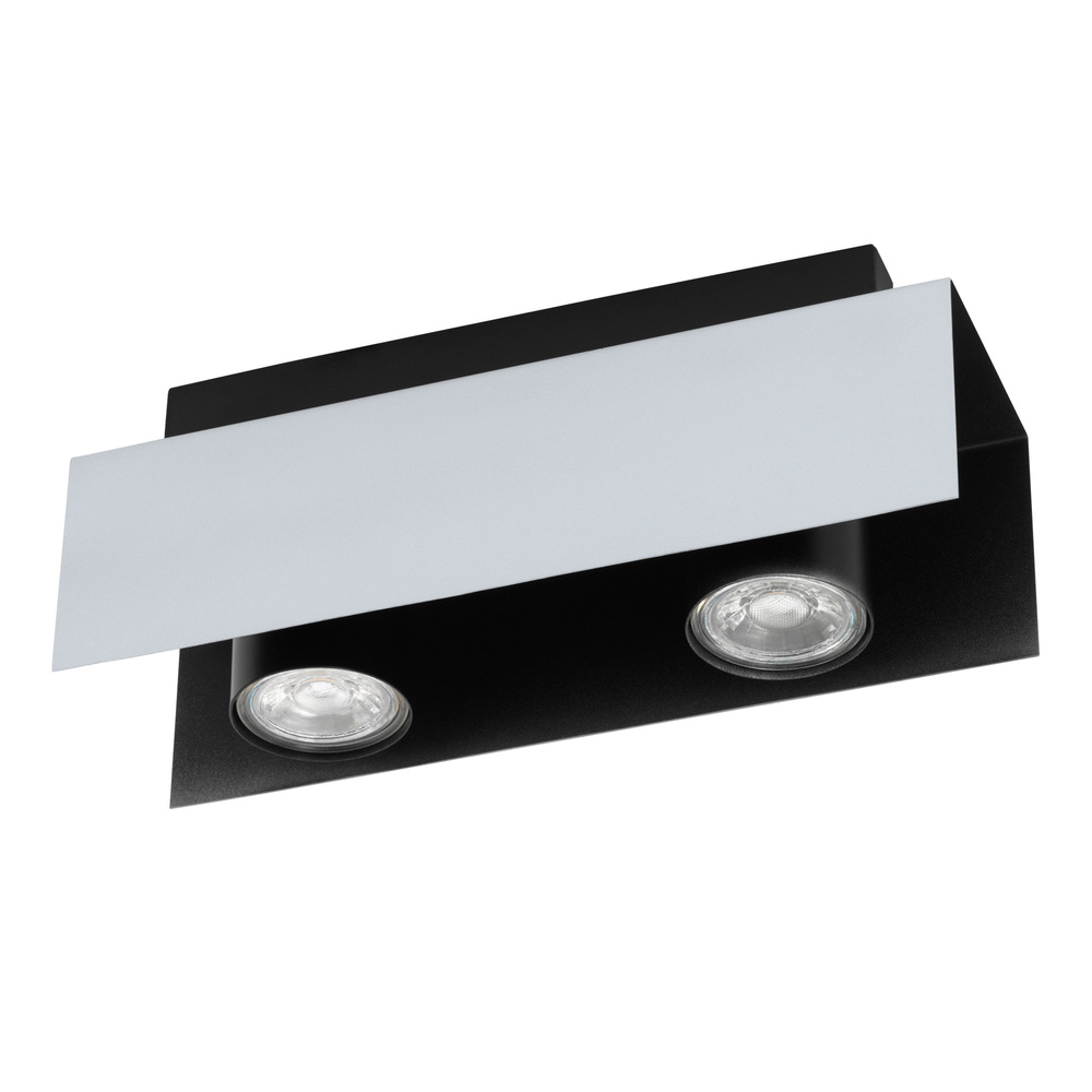 2L Track Light / Luminaire sur rail 2L