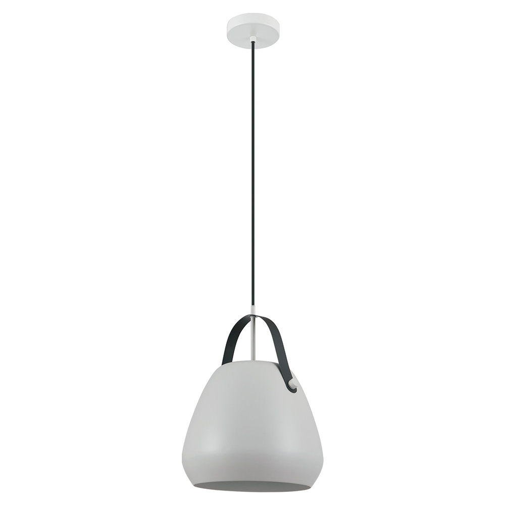 1L Pendant Light / Luminaire suspendu 1L