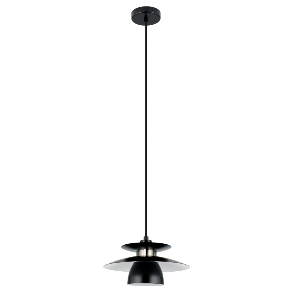 1L Pendant Light / Luminaire suspendu 1L