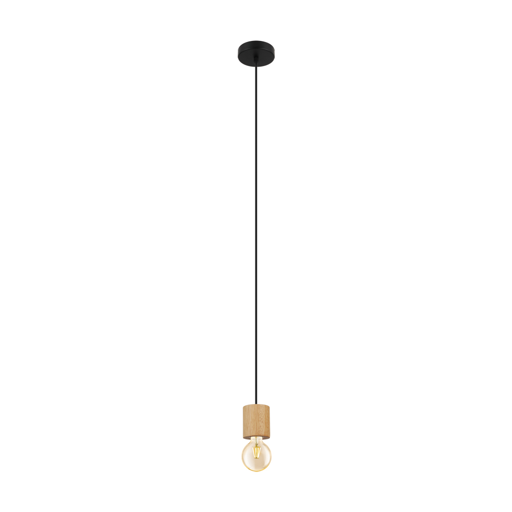 1L Pendant Light / Luminaire suspendu 1L