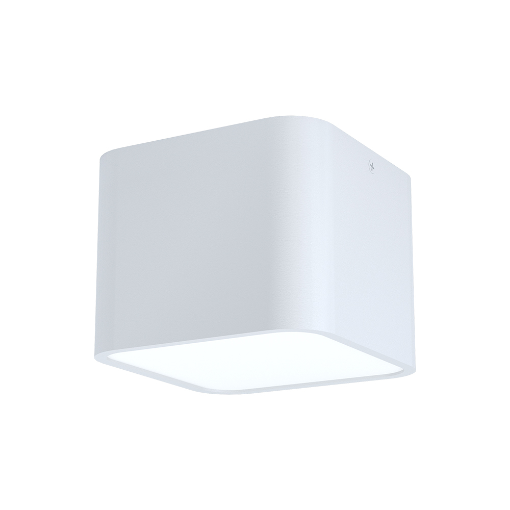 1L Ceiling Light / Plafonnier 1L