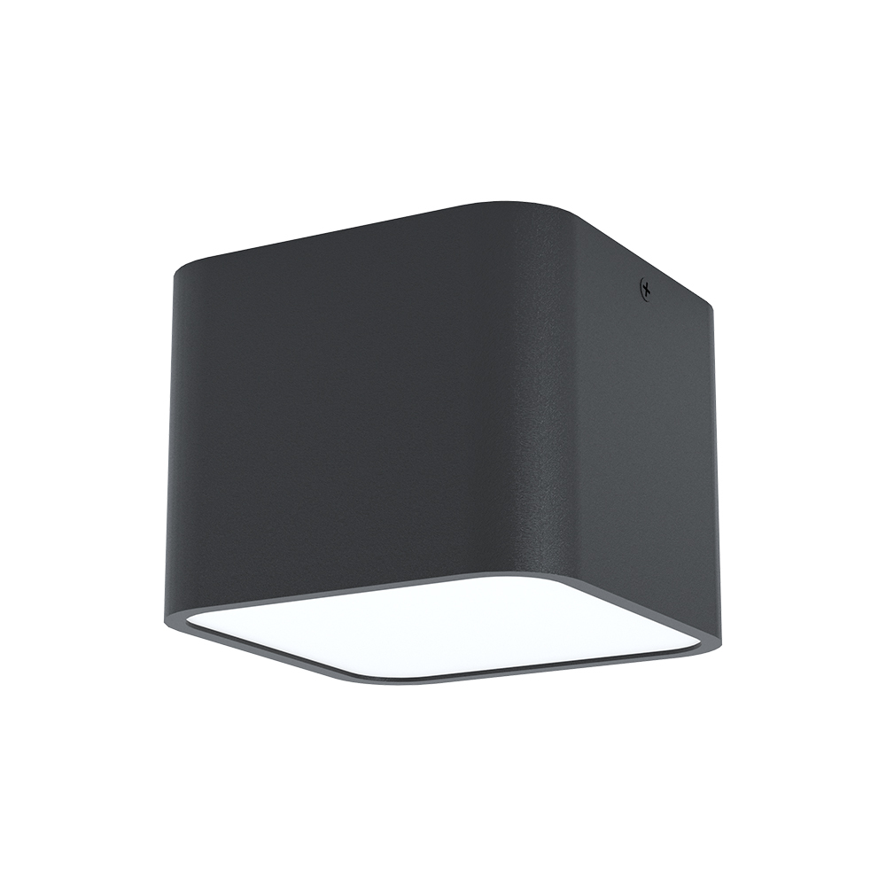 1L Ceiling Light / Plafonnier 1L