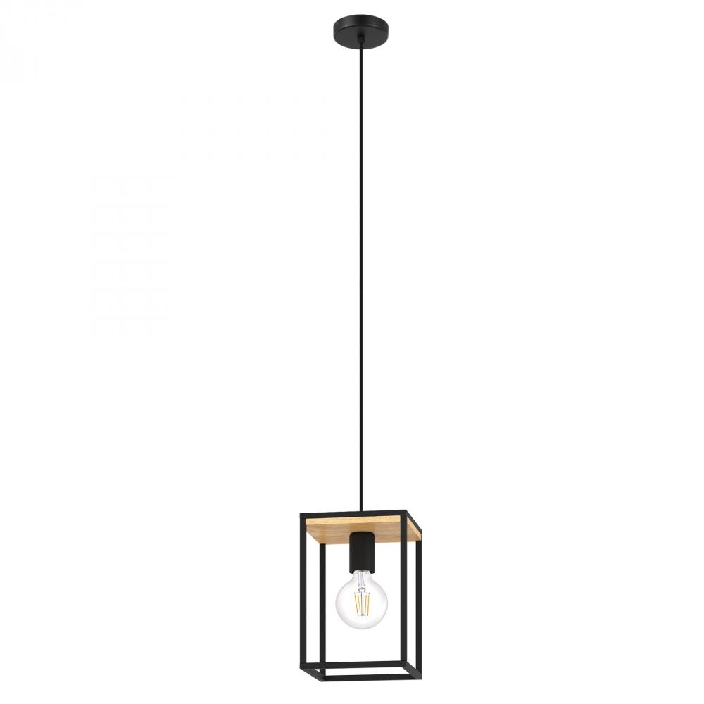1L Pendant Light / Luminaire suspendu 1L
