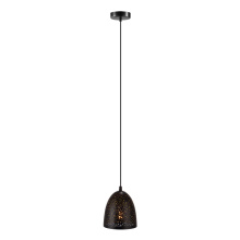 Eglo Canada 202265A - 1L Pendant Light / Luminaire suspendu 1L