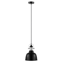 Eglo Canada 202422A - 1L Pendant Light / Luminaire suspendu 1L