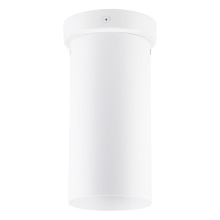 Eglo Canada 204899A - 1L Ceiling Light / Plafonnier 1L