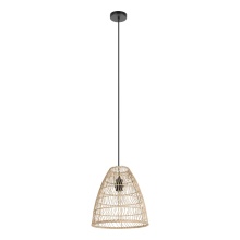 Eglo Canada 43866A - 1L Pendant / Luminaire suspendu 1L