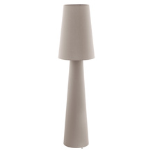 Eglo Canada 97141A - Carpara 2-Light Floor Lamp