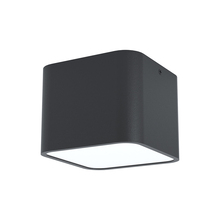 Eglo Canada 99283A - 1L Ceiling Light / Plafonnier 1L