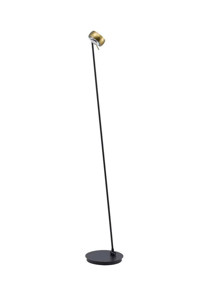 Black and Stain Brass LED Floor Lamp