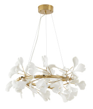 Bethel International Canada CX01C24BR - Round Brass Frame Chandelier