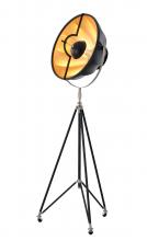Bethel International Canada DLS74F23B - Floor Lamp Metal