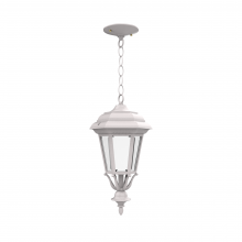 SNOC Canadian 11455-CB03-LD10C - Jamestown - Ceiling mount with chain closed bottom small format - 11455