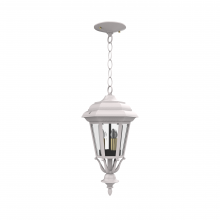 SNOC Canadian 11455-CB03C - Jamestown - Ceiling mount with chain closed bottom small format - 11455
