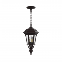 SNOC Canadian 11455-CB09C - Jamestown - Ceiling mount with chain closed bottom small format - 11455