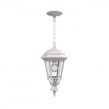SNOC Canadian 11455-CH03 - Jamestown - Ceiling mount with chain closed bottom small format - 11455