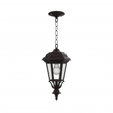 SNOC Canadian 11455-CH09 - Jamestown - Ceiling mount with chain closed bottom small format - 11455