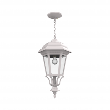 SNOC Canadian 31455-CB03 - Jamestown - Ceiling mount with chain large closed bottom - 31455