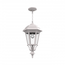 SNOC Canadian 31455-CH033 - Jamestown - Ceiling mount with chain large closed bottom - 31455