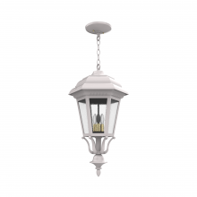 SNOC Canadian 31455-CH03C - Jamestown - Ceiling mount with chain large closed bottom - 31455